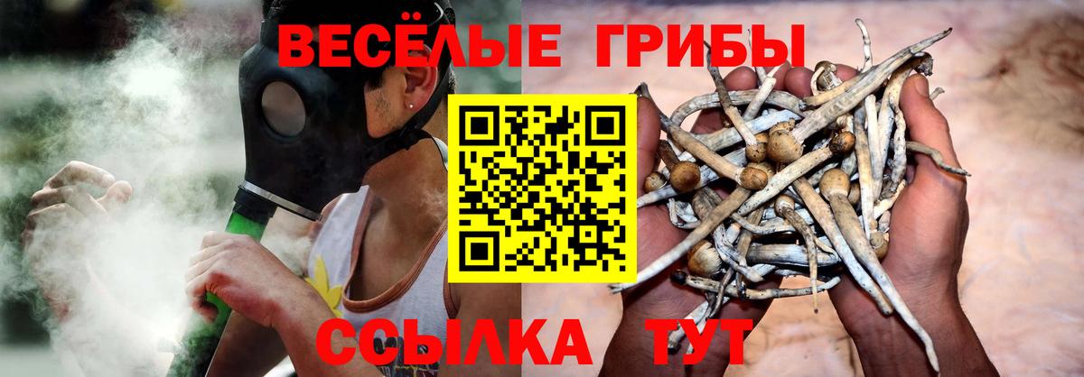 Галлюциногенные грибы MAGIC MUSHROOMS Железногорск
